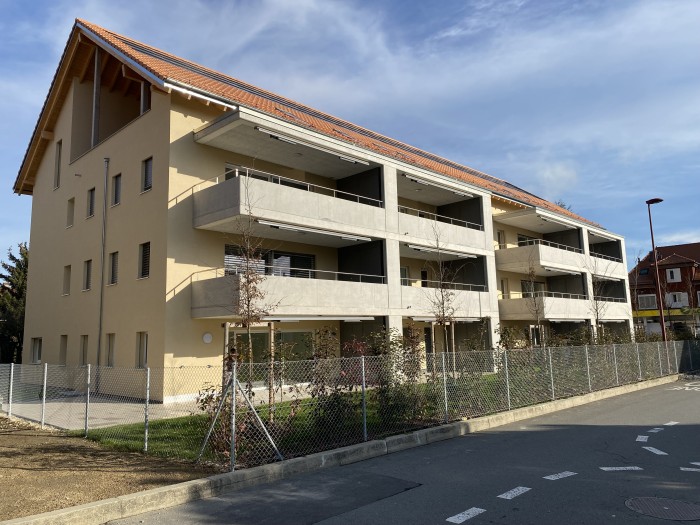 Project image
